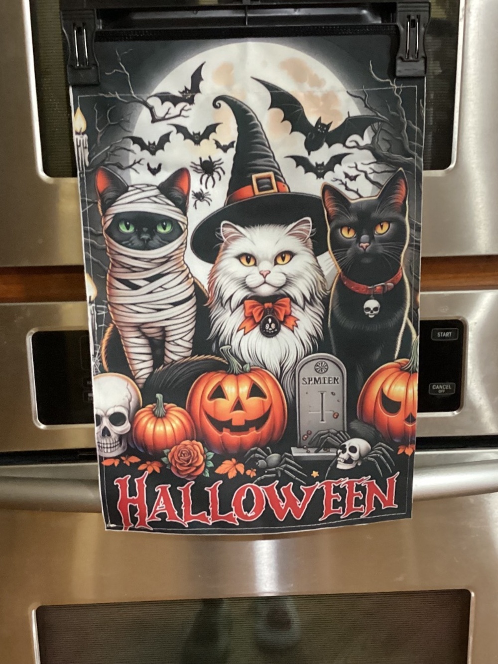 NEW Double Sided Halloween Cat Garden Flag, Witches, Pumpkins